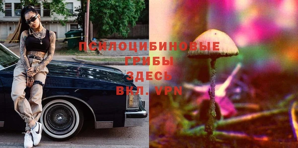 экстази Белокуриха